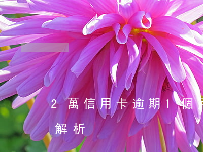 2萬信用卡逾期1個月：后果、利息全解析
